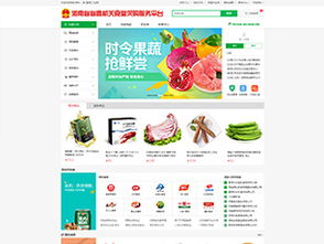 手機網站與移動應用解決方案 一站式構建與代理服務